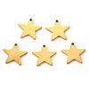 PVD Vacuum Plating 304 Stainless Steel Charms X-STAS-N092-67G-1