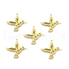 Ion Plating(IP) 201 Stainless Steel Pendants STAS-N098-099LG-2