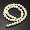 Shell Beads Strands SSHEL-E571-39-3mm-2