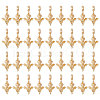 CHGCRAFT 36Pcs Alloy European Dangle Charms MPDL-CA0001-06G-1