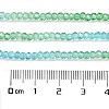 Transparent Painted Glass Beads Strands X1-DGLA-A034-T2mm-A17-3