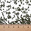 TOHO Round Seed Beads SEED-TR11-0617-4