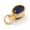 Real 18K Gold Plated Brass Inlaid Cubic Zirconia Charms ZIRC-L100-079G-02-4