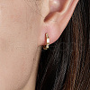925 Sterling Silver Micro Pave Cubic Zirconia Hoop Earrings LC7208-2-2