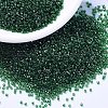 MIYUKI Delica Beads SEED-X0054-DB1894-4