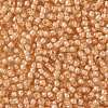 TOHO Round Seed Beads X-SEED-TR08-0955-2