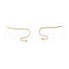 316 Surgical Stainless Steel Earring Hooks X-STAS-P307-07G-3