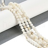 Natural Cultured Freshwater Shell Beads Strands BSHE-H109-03C-2