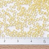 MIYUKI Round Rocailles Beads SEED-G007-RR0273-4