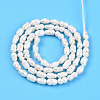 Natural Cultured Freshwater Pearl Beads Strands PEAR-N012-02N-3