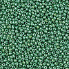 11/0 Czech Opaque Glass Seed Beads SEED-N004-003B-35-4