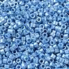 Baking Paint Glass Seed Beads SEED-S042-15A-11-3