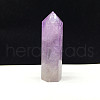 Point Tower Natural Amethyst Home Display Decoration PW23030648842-1