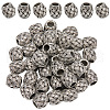 SOFPLATE 40Pcs Alloy European Beads PALLOY-SP0001-04-1