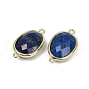 Dyed Natural Lapis Lazuli Faceted Connector Charms G-K347-11G-02-2