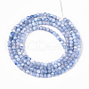 Dyed Natural Trochid Shell/Trochus Shell Beads Strands SSHEL-T017-13M-3