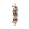 9Pcs 9 Styles Natural Mixed Stone Chip & Natural Coconut Disc Beaded Connector Charms PALLOY-JF03570-3