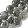 Natural Labradorite Beads Strands G-P528-M10-01-1