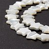 Natural Trochid Shell/Trochus Shell Beads SSHEL-O001-25D-01-4