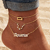 Alloy Crystal Rhinestone 3 Layer Constellations Link Chain Anklets for Women FS-WGFDDF7-01-1