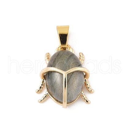 Natural Labradorite Pendants KK-Z107-02G-01-1