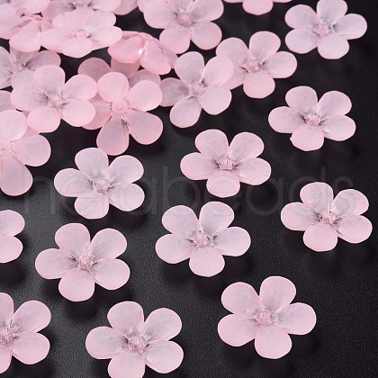 Transparent Acrylic Beads MACR-S373-116-D08-1