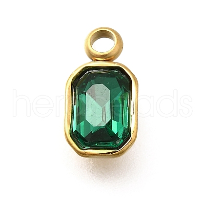 304 Stainless Steel Pendants STAS-Q346-03G-08-1