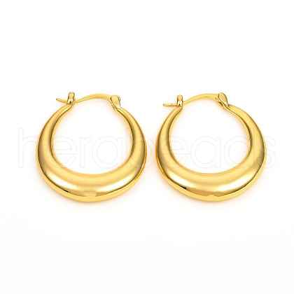 Brass Hoop Earrings EJEW-F250-03-G-1