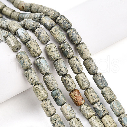 Natural Variscite Beads Strands G-N346-01B-14-1