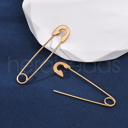 Ion Plating(IP) 304 Stainless Steel Dangle Earrings EJEW-F254-01G-1