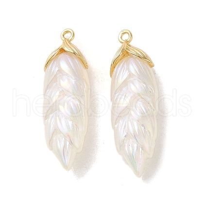 Rainbow Iridescent Plating Resin Pendants RESI-C047-03B-G-1