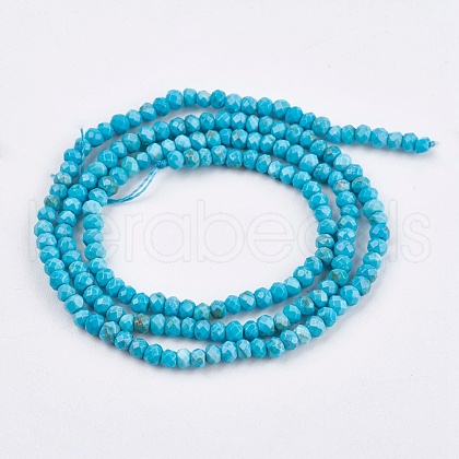 Dyed Natural Turquoise Beads Strands X-TURQ-F010-05-1