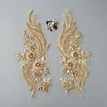 Phoenix Tail Pattern Glass Rhinestone & Mesh Base Fabrics Handwork Embroidery Cloth Sew on Appliques PATC-WH0009-02C-1