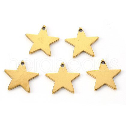 PVD Vacuum Plating 304 Stainless Steel Charms X-STAS-N092-67G-1