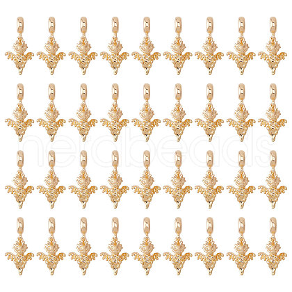 CHGCRAFT 36Pcs Alloy European Dangle Charms MPDL-CA0001-06G-1