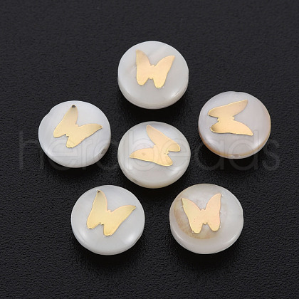 Natural Freshwater Shell Beads SHEL-S278-064-1