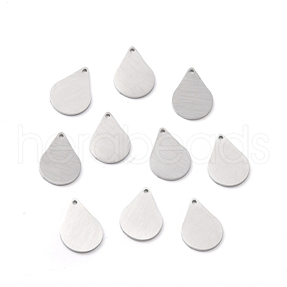 Tarnish Resistant 304 Stainless Steel Pendants STAS-F271-05B-P-1