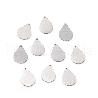 304 Stainless Steel Pendants STAS-F271-05B-P-1