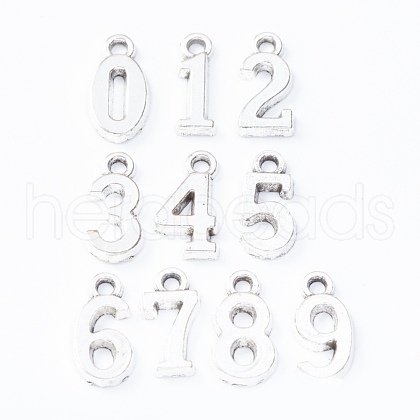 Tibetan Style Alloy Pendants TIBEP-TAC0001-14AS-1
