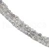 Natural Labradorite Beads Strands G-RM2025-A30-2mm-4