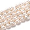 Natural Cultured Freshwater Pearl Beads Strands PEAR-L033-87-01-1