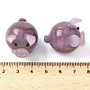 Pig Home Decorations LAMP-D301-17A-3