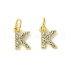 Rack Plating Alloy Rhinestone Pendants PALLOY-S187-01K-1