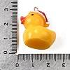 Resin Pendants FIND-U031-13B-P-3