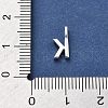 925 Sterling Silver with Cubic Zirconia Charms STER-Q004-01K-S-3