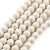 Natural Fossil Beads Strands G-H026-02C-1