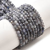 Natural Tanzanite Beads Strands G-S387-A01-3mm-2