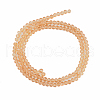 Glass Beads Strands EGLA-A034-T1mm-D23-2