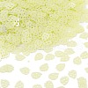 Plastic Sequins Beads PVC-R024-05B-1