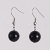 Round 304 Stainless Steel Natural Dyed & Heated Black Agate Dangle Earrings EJEW-JE01973-03-1